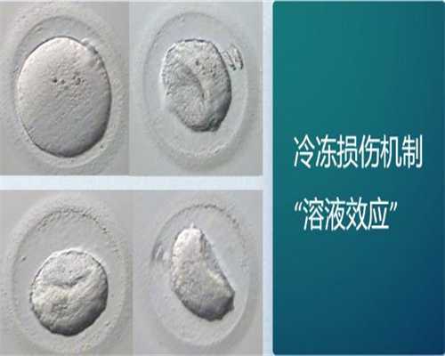 广州找代生医院,47岁绝经3年借卵做试管成功率多少?_湛江供卵试管-济南清华不